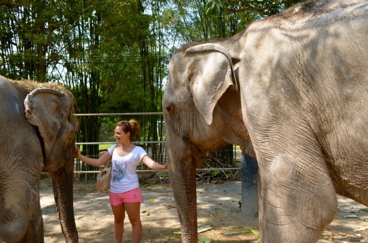 Friends of Wildlife Thailand Foundation, Elephant Sanctuary